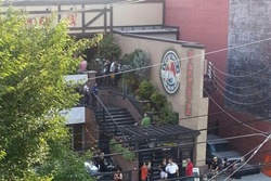 Der Biergarten, dogs allowed restaurants in Atlanta, pet friendly restaurants in Atlanta Georgia