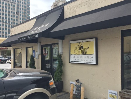 Peachtree Hills Animal Hospital, vets in Atlanta, Atlanta veterinarians