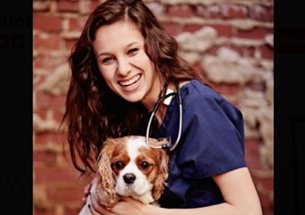 Peachtree Hills Animal Hospital, vets in Atlanta, Atlanta veterinarians