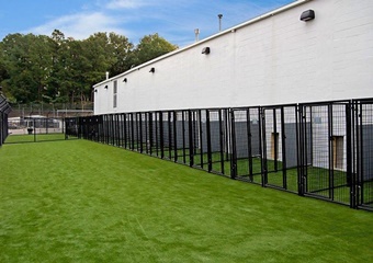 Pet Paradise Resort Atlanta Airport, pet boarding in Atlanta, Atlanta dog daycare, Pet Friendly Atlanta Pet Care