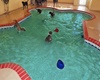 Pet Paradise Resort Atlanta Airport, pet boarding in Atlanta, Atlanta dog daycare, Pet Friendly Atlanta Pet Care