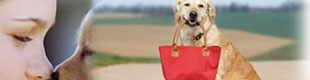 mammoth pet friendly restaurant